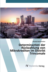 Determinanten der Rückzahlung von Mikrokrediten im Distrikt Trincomale