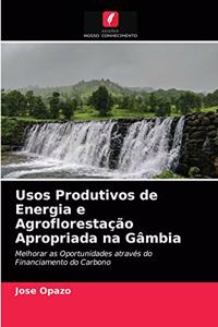 Usos Produtivos de Energia e Agroflorestação Apropriada na Gâmbia