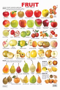 Fruit Chart - 1