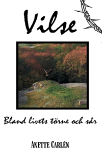 Vilse