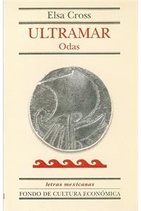 Las Tortugas Marinas y Nuestro Tiempo