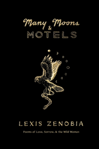 Many Moons & Motels