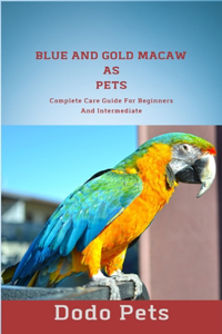 Blue And Gold Macaw As Pets