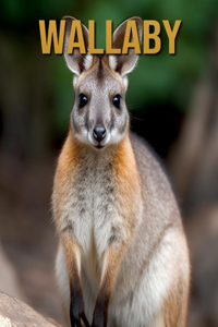 Wallaby