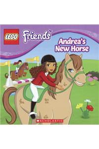 Andrea's New Horse