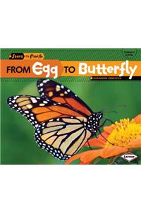 From Egg to Butterfly
