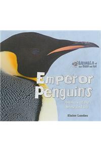 Emperor Penguins