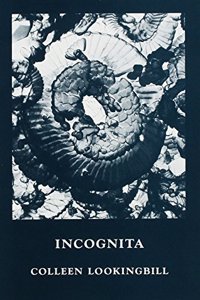 Incognita