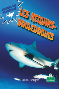 Les Requins-Bouledogues (Bull Sharks)