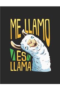 Me Llamo Es Llama