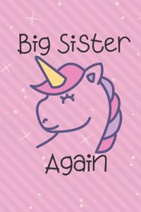 Big Sister Again