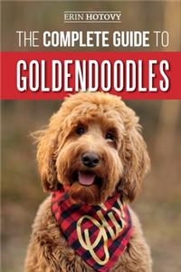 The Complete Guide to Goldendoodles