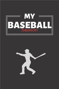 My Baseball Season