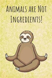 Animals Are Not Ingredients