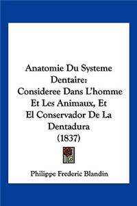 Anatomie Du Systeme Dentaire