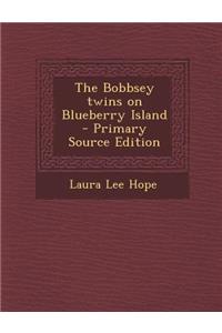 The Bobbsey Twins on Blueberry Island