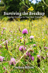 Surviving the Breakup