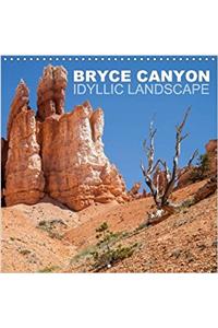 Bryce Canyon Idyllic Landscape 2017