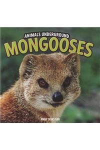 Mongooses