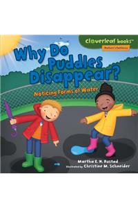 Why Do Puddles Disappear?