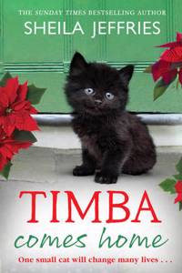 Timba Comes Home