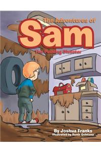 Adventures of Sam