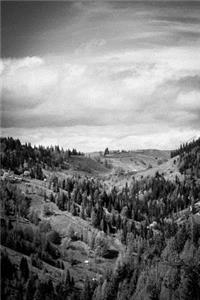 Mountain View Journal