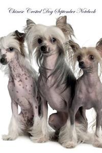 Chinese Crested Dog September Notebook Chinese Crested Dog Record, Log, Diary, Special Memories, To Do List, Academic Notepad, Scrapbook & More