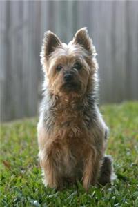 The Silky Terrier Dog Journal: 150 page lined notebook/diary