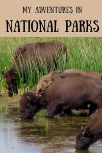 My Adventures in National Parks
