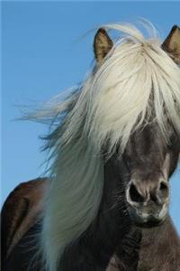 A Beautiful Icelandic Horse Journal