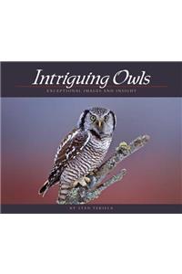 Intriguing Owls