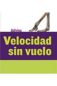 Velocidad Sin Vuelo (Fast and Flightless)