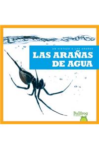 Las Aranas de Agua (Water Spiders)