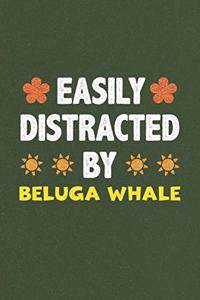 Easily Distracted By Beluga Whale