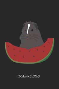 Meerschweinchen mit Melone