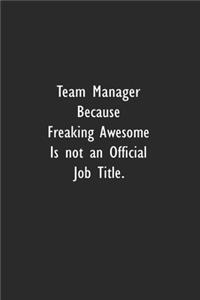 Team Manager Because Freaking Awesome is not an Official Job Title