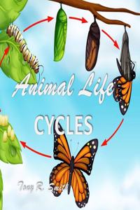 Animal Life Cycles