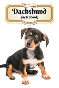 Dachshund Sketchbook