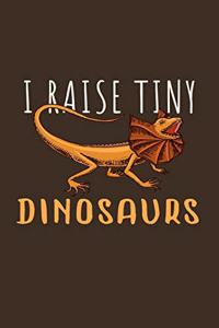 I Raise Tiny Dinosaurs