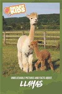 Unbelievable Pictures and Facts About Llamas