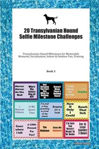 20 Transylvanian Hound Selfie Milestone Challenges
