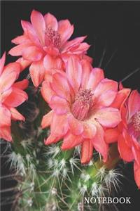 Cactus Blossom Notebook