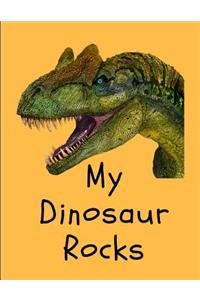 My Dinosaur Rocks