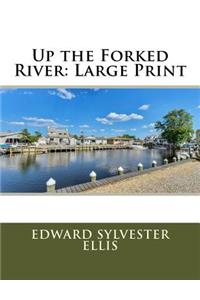 Up the Forked River