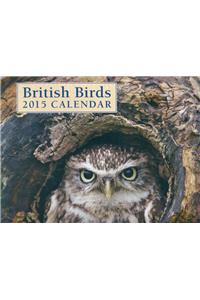 British Birds 2015 Wall Calendar 12x12