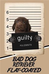 Bad Dog Retriever Flat-Coated