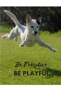 Be Pawsitive Be Playful