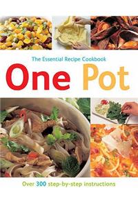 One Pot: Over 300 Step-by-step Instructions