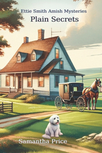 Amish Mystery